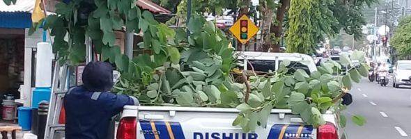 Persiapan Libur Natal & Tahun Baru